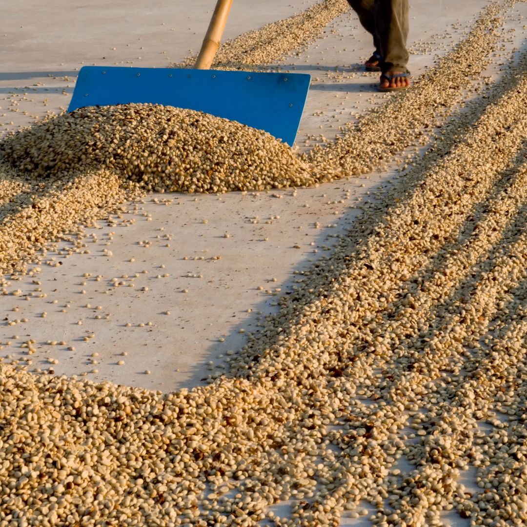 About 2 dry coffee
